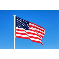Survey Reveals: What Each U.S. State Would Put on Its Flag Today [2026]